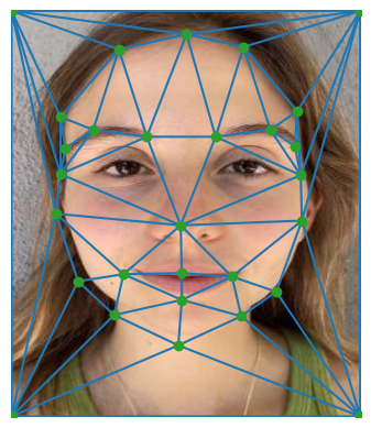 Me (key points and triangulation)